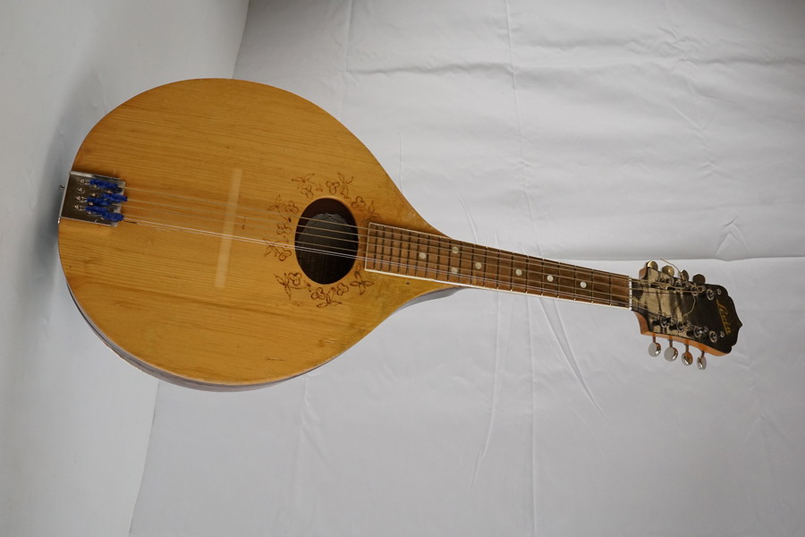 Levin mandolin. G27