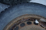 Vinterdäck/dubbdäck Pirelli 195/65R15 95T på fälg. B243