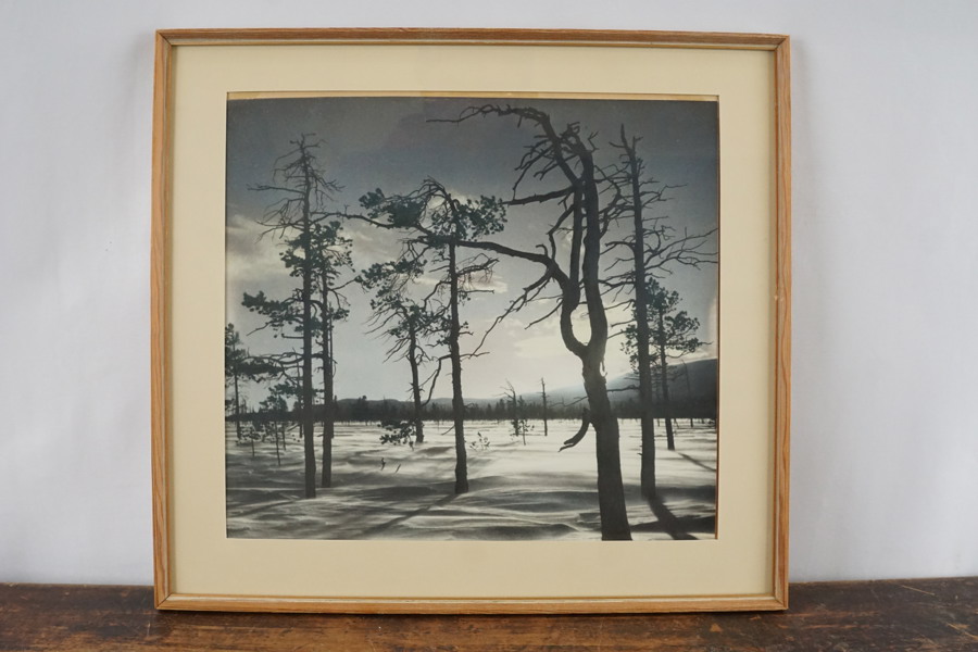 R. Friedrich Svartvitt foto (fjällandskap Oviksfjällen) 41x37cm. M23