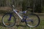 19886h_8dd9828cebc4ccd_sm.jpeg