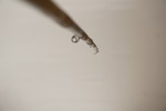 20056j_8dd98534ab3f223_sm.jpeg