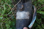 20099c_8dd985d34287ab6_sm.jpeg