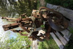 20101i_8dd985ea5a5b9aa_sm.jpeg