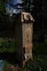 20106a_8dd985ffdea6bdd_sm.jpeg