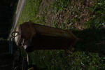 20106e_8dd98600209ab0b_sm.jpeg