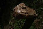 20106g_8dd986004914dfa_sm.jpeg