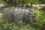 20110e_8dd9860c9dc63c1_sm.jpeg