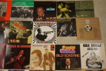 24st LP/Skivor Lionel Hampton, Gordon Gray mm. Bc325