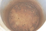 21255d_8ddad942982ec39_sm.jpeg