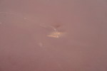 22028c_8ddaf215eebd650_sm.jpeg