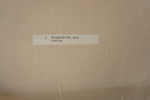 22349l_8ddb3067d5bc864_sm.jpeg