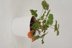 22648a_8ddb3d95ec02520_sm.jpeg