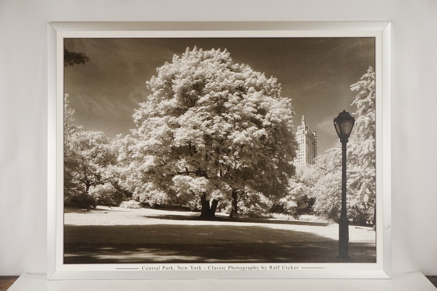 Ralf Uicker foto Central Park New York. B164