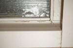 25207d_8ddd03b40b92a19_sm.jpeg