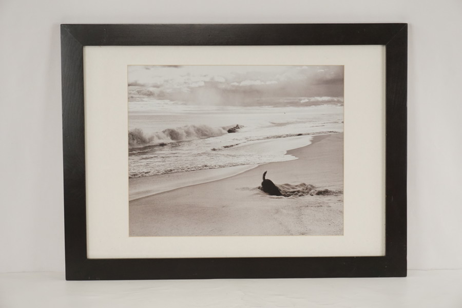 Bild ii ram Elliott Erwitt | 'East Hampton' (Dog on Beach) 78x58. M7