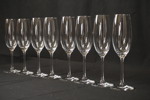 8st Schott Zwiesel champagne glass.  G7
