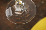 13st + 8st Champagneglas Zwesel Glas mm. B100