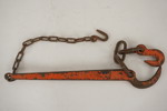Timmerbjörn orange. D6