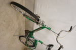 Minicykel Europa grön B218