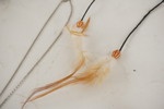 Cowboy halsband mm. A40 