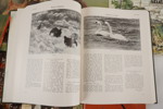 Böcker om djuren, Älgar, Hästar, Mötens med djur mm. BC261/