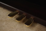 Piano Calviano Casio AP-65R med pall.  B3