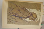 Böcker, Toulouse Lautrec mm. BC427/