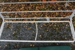 Hammock. B196