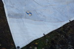 Syversen Sail triangulärt segel. B202