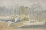 Larz Friberg 96 Svanpar 99x59cm. M41