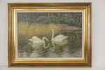 Larz Friberg 85 Svanar 83x64cm. M42