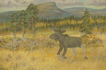 Larz Friberg 93 Älg Handöl 59x45cm. M51
