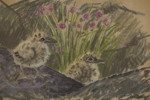 Larz Friberg 62 fågelungar 53x45cm. M52