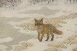 Larz Friberg 93 räv 53x45cm. M54