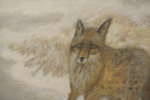 Larz Friberg 93 räv 53x45cm. M54