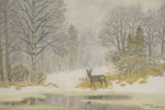 Larz Friberg 96 Rådjur 52x39cm. M55