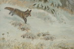 Larz Friberg 86 Räv 46x38cm. M56