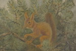 Larz Friberg 94 Ekorre 47x39cm. M58