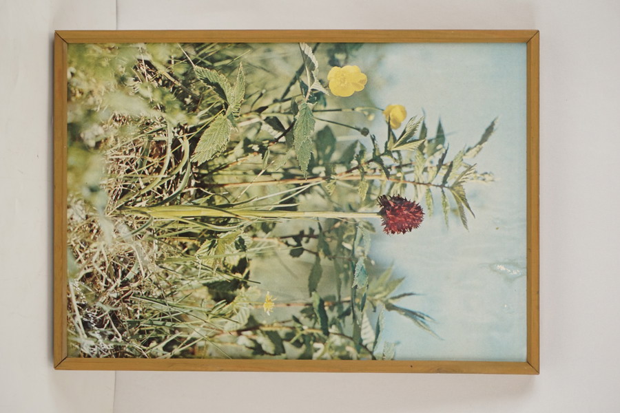 Georg Nystrand Brunkulla. A175