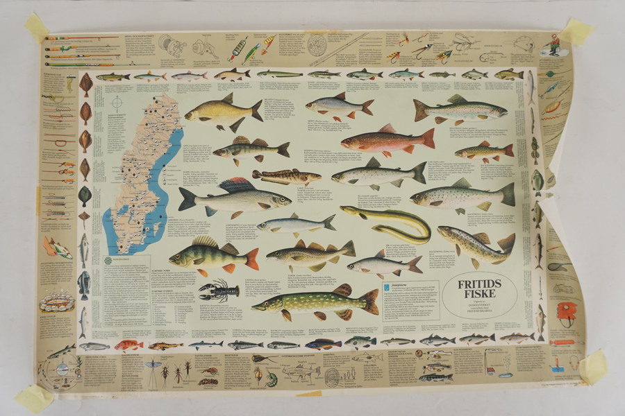 Plansch fiskar. A211