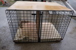 Bur för hundar/djur. B30