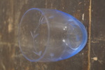 5st Glas på fot och 6st blå glas. G26