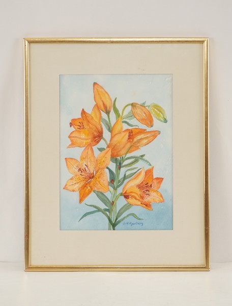 A-M Agerberg akvarell 35x44. M15