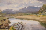 Johan Bladh -Fjällandskap 71x62. M44
