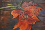 L.H. Westerlund-Amaryllis 60x69. M52