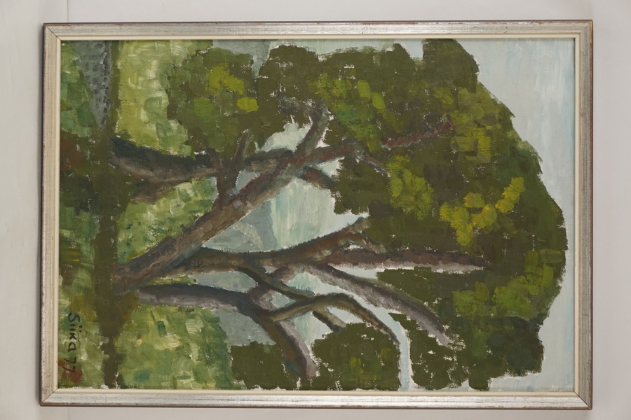 Siika -77 -Träd 43x61. M85
