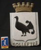 Sollefteå stadsvapen i metall. A72