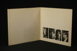 LP The Beatles, vinyl. A105