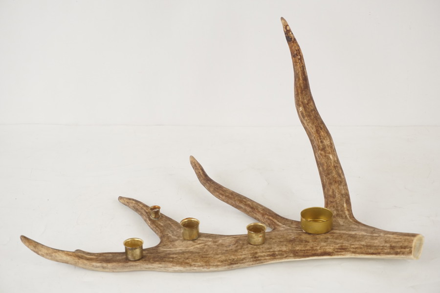 Ljusstake renhorn. A171