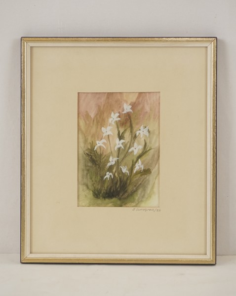 B. Sundgren, Växt 19x22. M111/